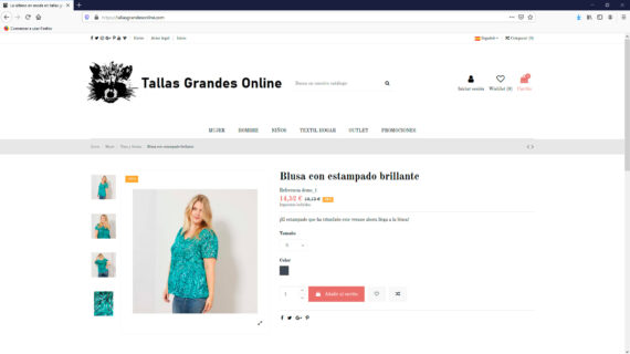 creacion web - tienda online de ropa de tallas grandes para mujer