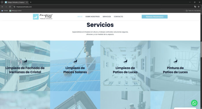 pagina web servicios limpiezasverticales.com - Trabajos verticales y limpieza en altura