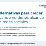 crecer tu negocio sin redes sociales | Servicios Informáticos en Mataró